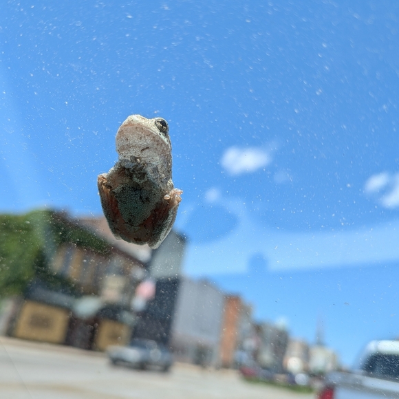 Meet your Posher, Jennifer - Picture 1 of 1